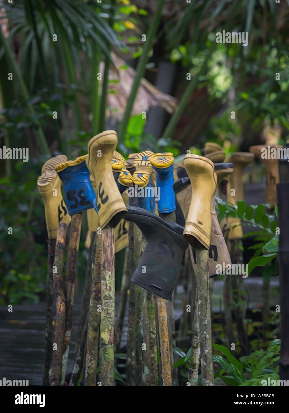 Blick auf Gummi Schuhe zum Trocknen in einem tropischen Camp aufgehängt Stockfoto