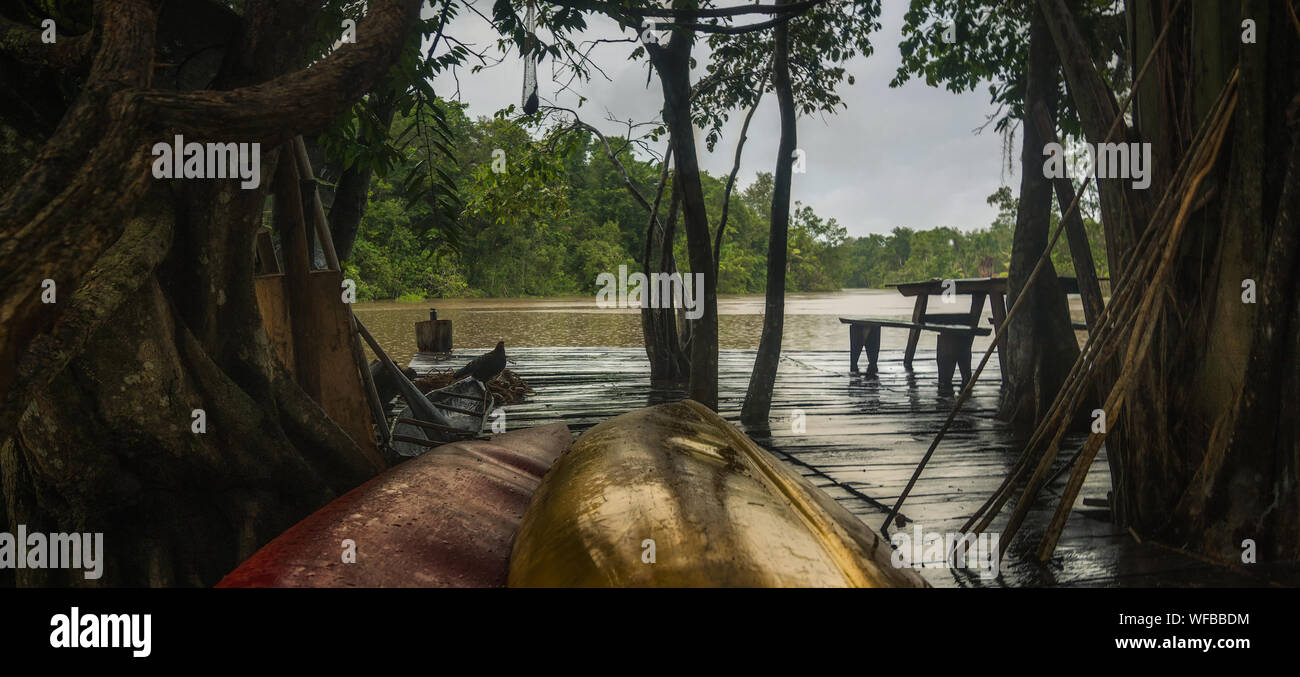 Blick auf den Fluss von der Pier der ökologischen Lager in den tropischen Dschungel des Orinoco. Stockfoto