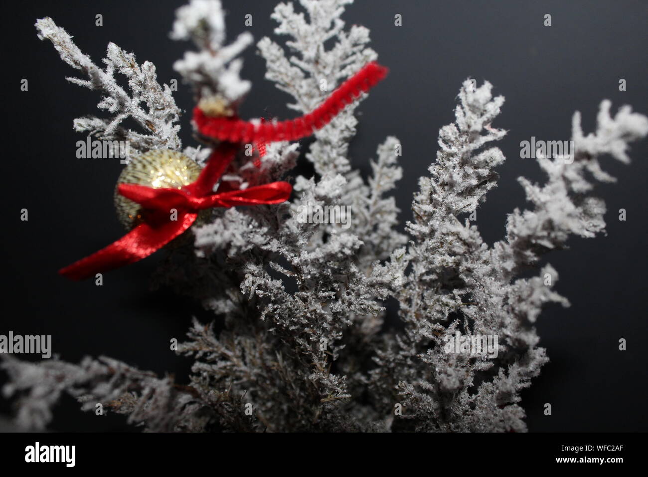 Gefrorene Dekoration Stockfotos Und Bilder Kaufen Alamy