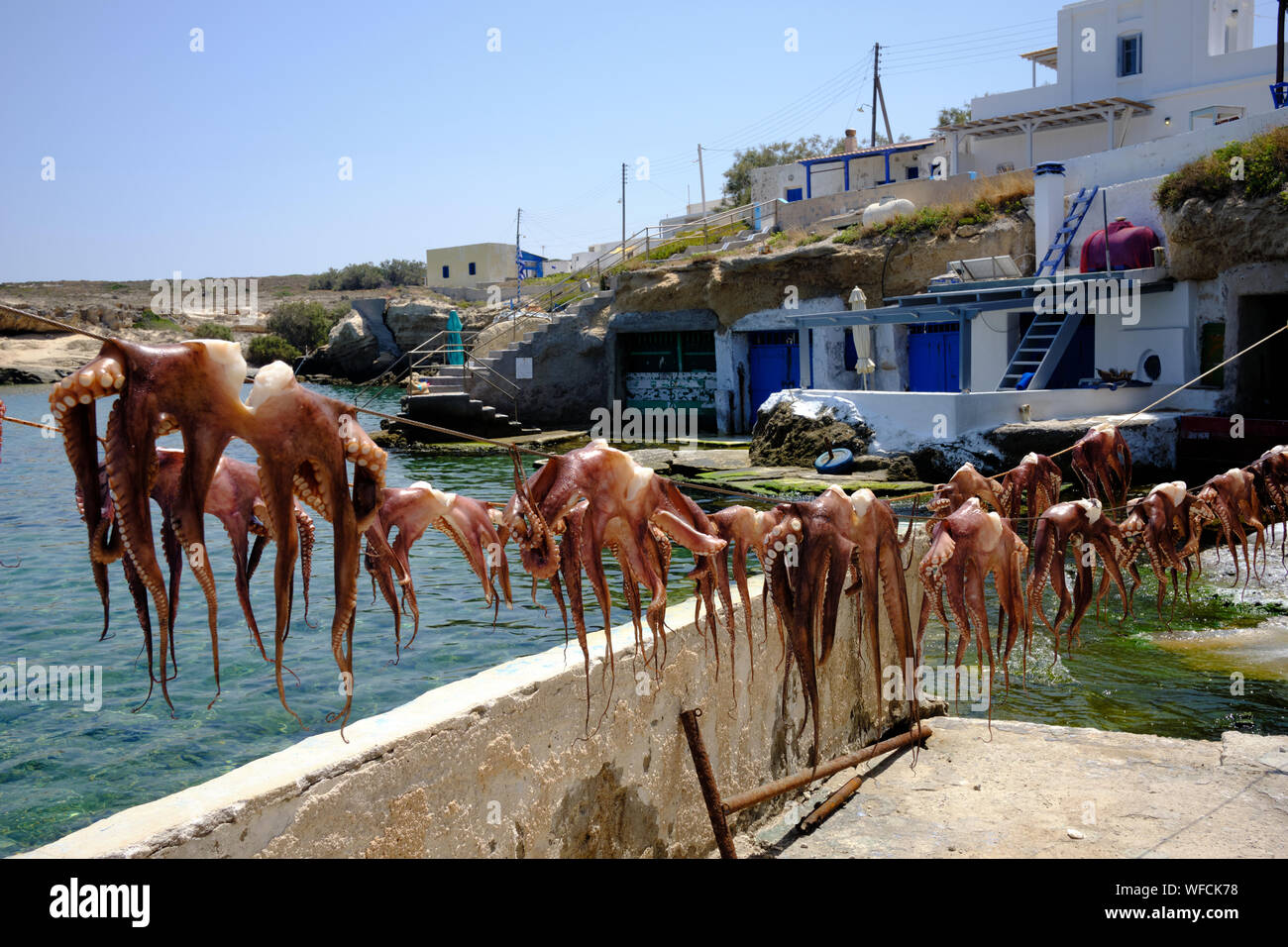 Octopus trocknen in der Sonne am Strand Mandrakia, Milos, Kykladen, Griechenland Stockfoto