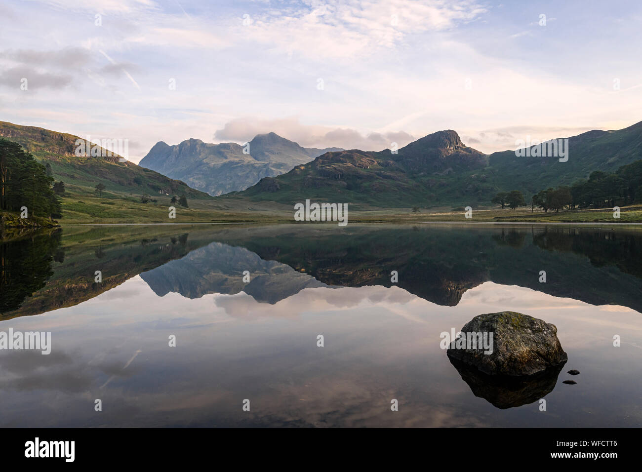 Perfekte spiegelt der Langdale Pikes in Blea Tarn am frühen Morgen im Spätsommer Stockfoto