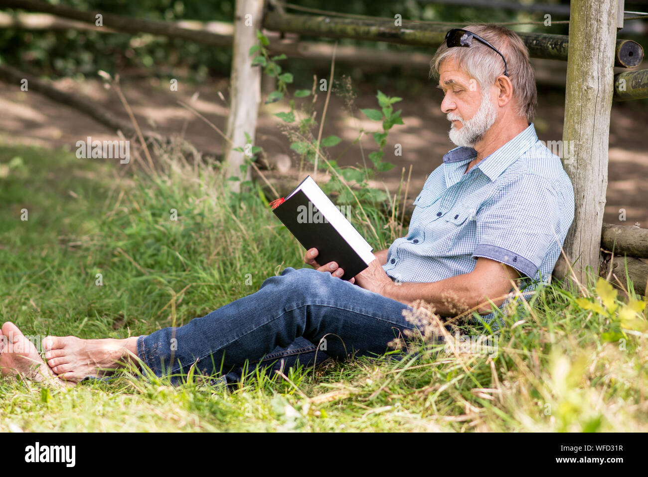 Ältere Menschen ist das Lesen eines Buches auf der Wiese Stockfoto