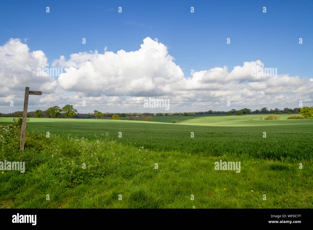 Landschaft Szene, wenig Maplestead, Essex. Großbritannien Stockfoto