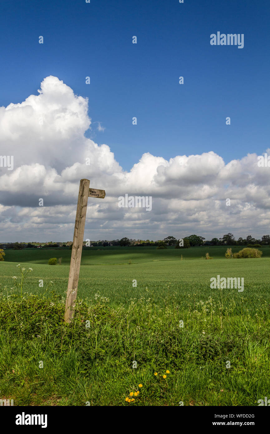 Landschaft Szene, wenig Maplestead, Essex. Großbritannien Stockfoto