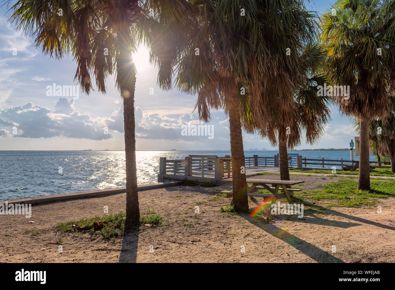 Palmen am Picknickplatz am Strand bei Sonnenuntergang Stockfoto