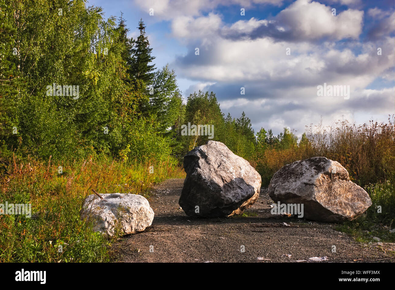 Schotterweg auf einem Berghang im Schwarzwald Mit Tannenholz im Hintergrund  Stockfotografie - Alamy