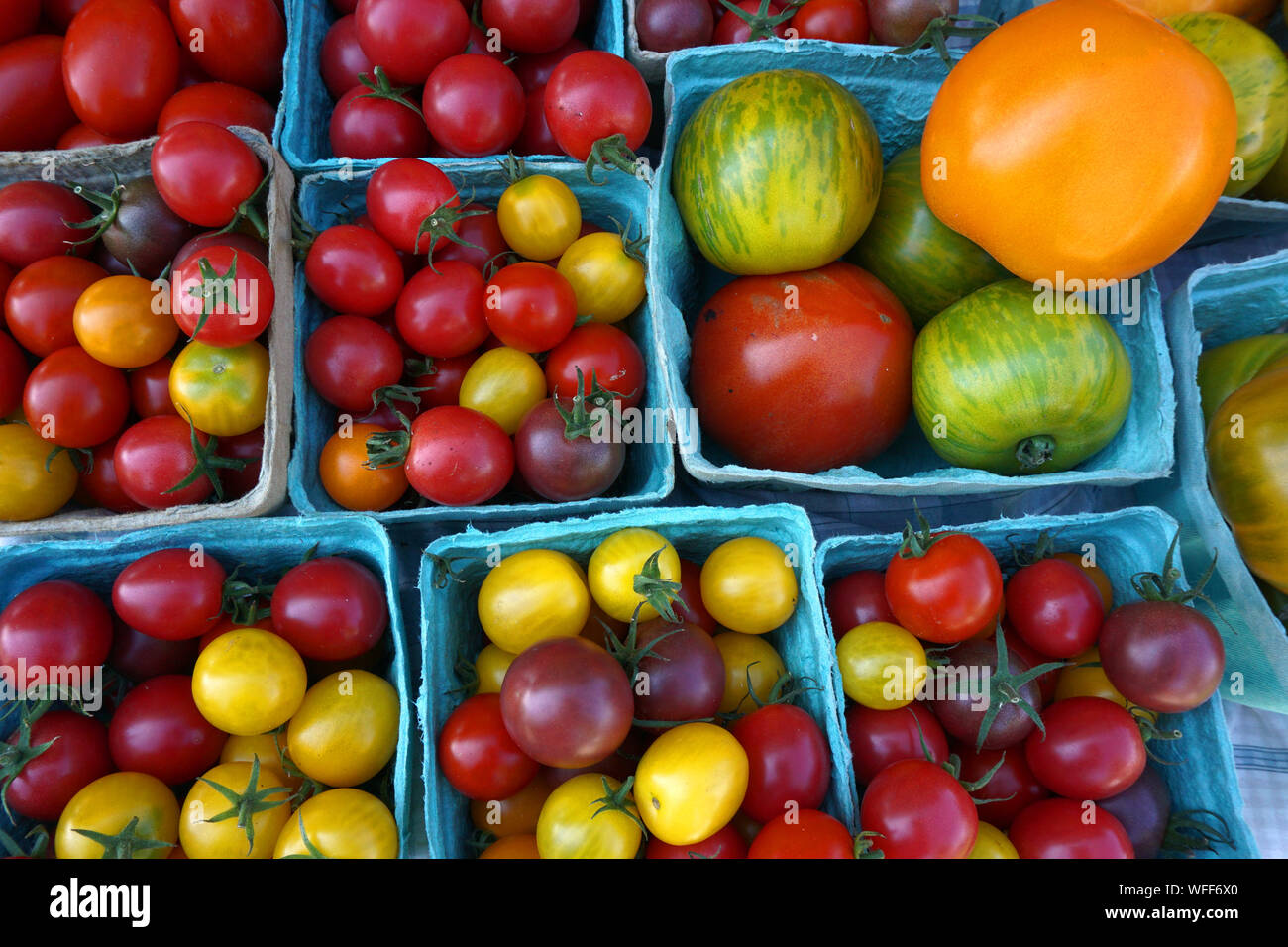Mehrfarbige Tomaten in Körben auf dem Bauernmarkt Stockfoto
