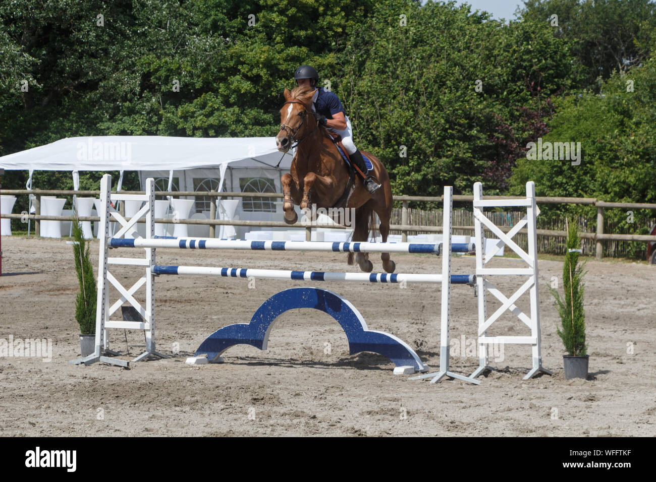 Mann und Kastanie Horse Jumping einen Zaun Stockfoto