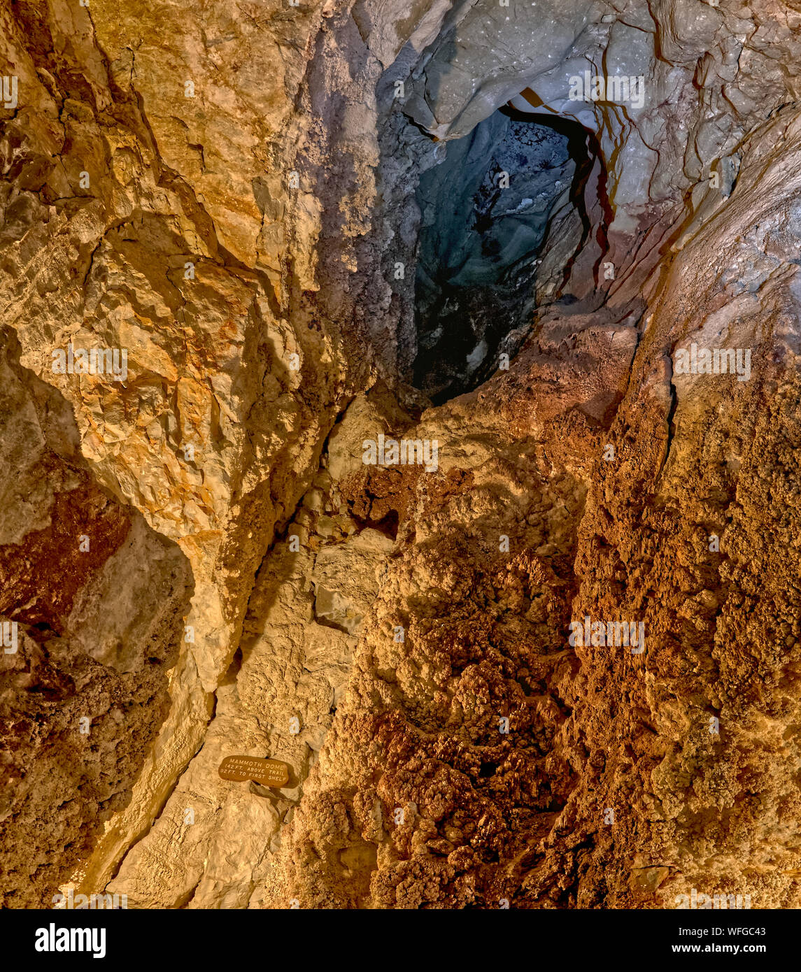 Mammut Dome im Grand Canyon Caverns, Peach Springs, Mile Marker 115, California, United States Stockfoto