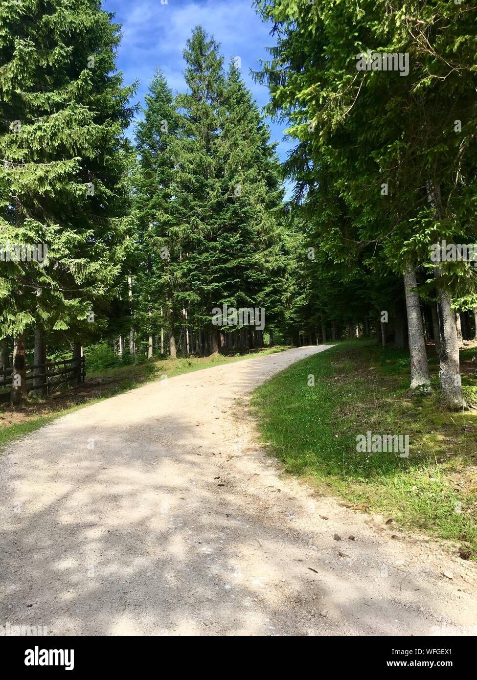 Straße durch eine ländliche Landschaft, Bosnien und Herzegowina Stockfoto