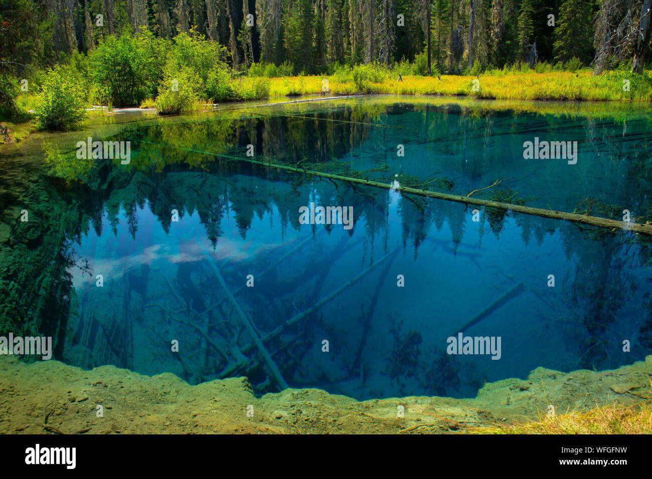 Wenig Crater Lake, Mt Hood National Forest, Oregon Stockfoto