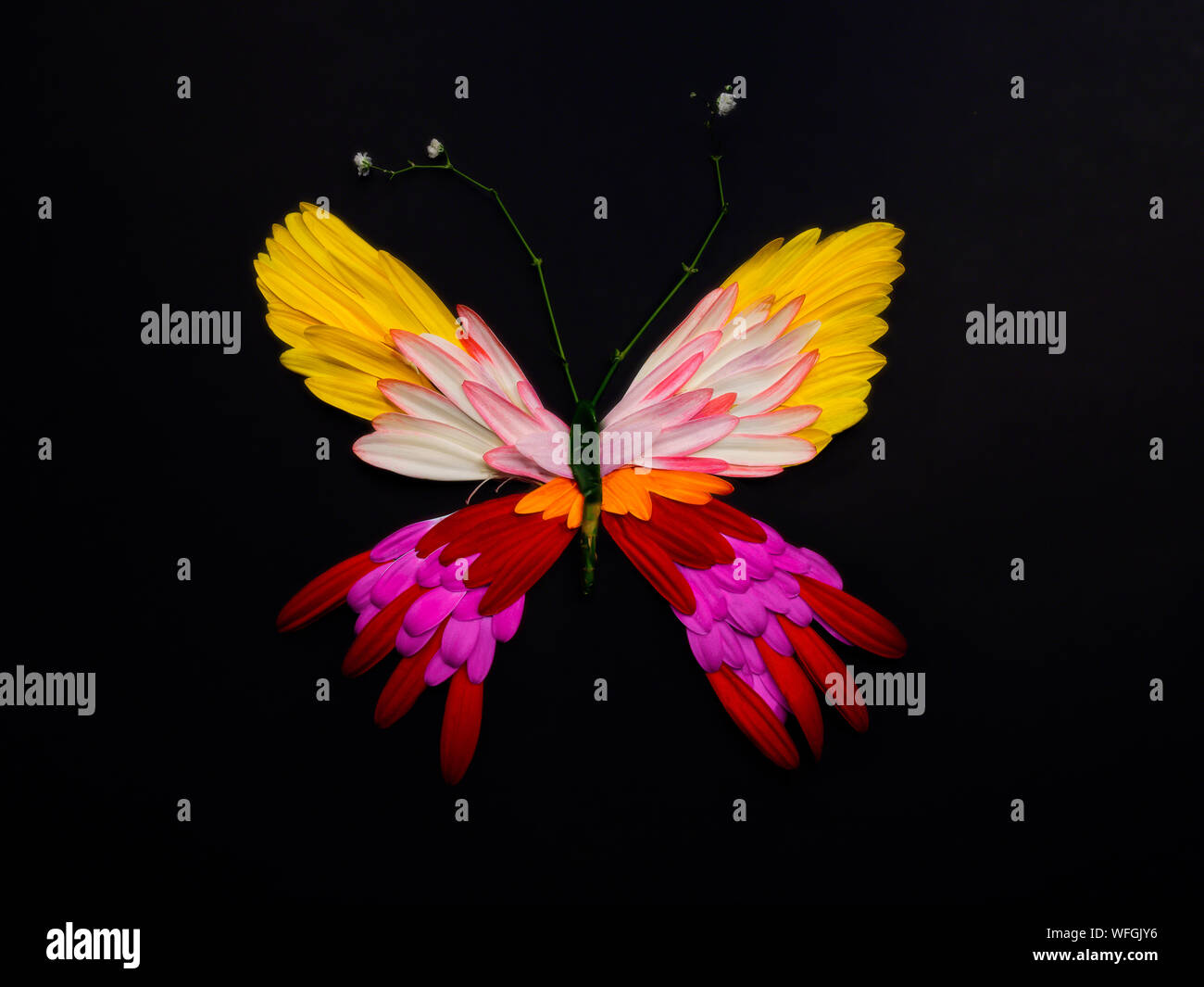 Konzeptionelle Schmetterling Stockfoto