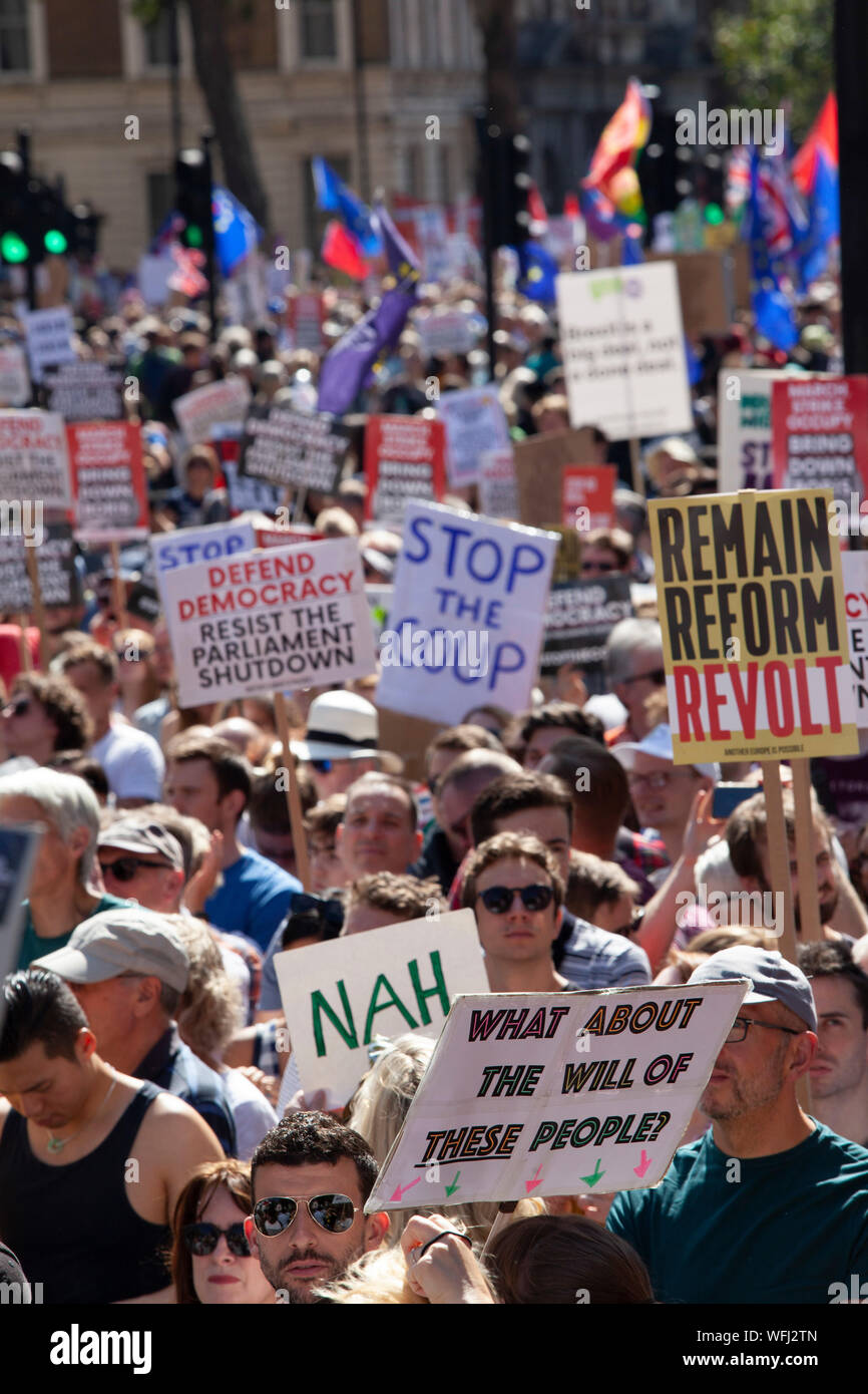 Zehntausende von pro-demokratischen Demonstranten in Downing Street gedreht, Füllung Whitehall am Parliament Square, Trafalgar Square, zu protestieren gegen den geplanten Vertagung des Parlaments und einem möglichen No-Deal Brexit. Stockfoto
