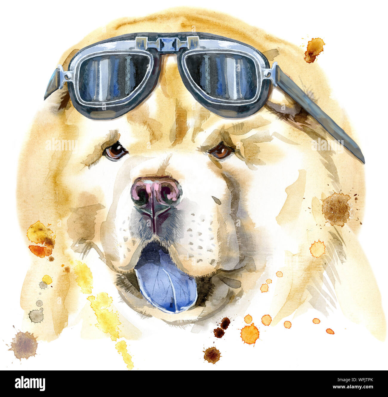 Aquarell Portrait von Chow-Chow Dog mit biker Sonnenbrille Stockfoto