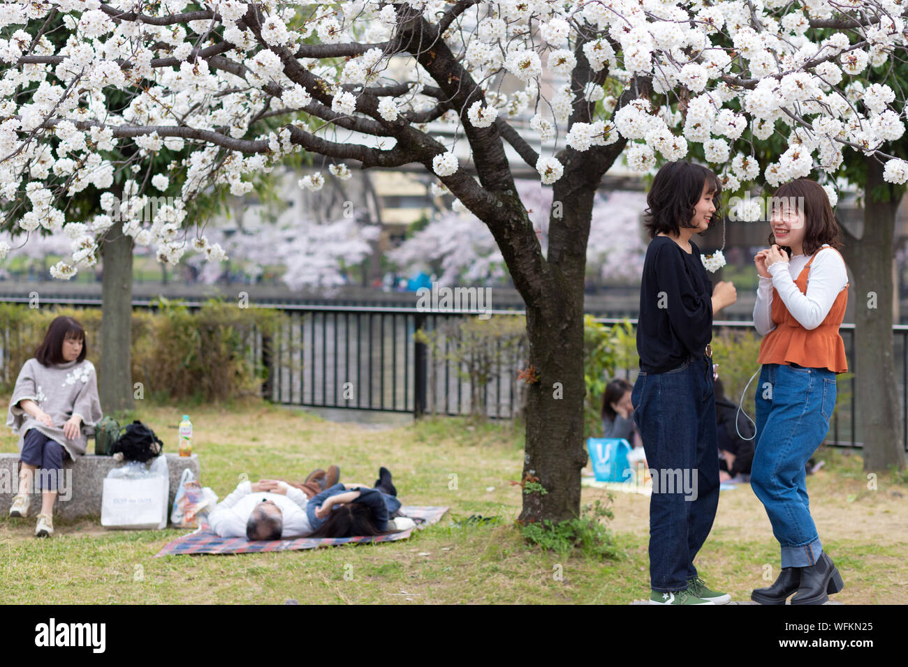 OSAKA, Japan, April 7, 2019: Japanische Frauen nehmen selfie Bilder unter blühenden Kirschbäume an der Kema Sakuranomiya Park neue spr zu feiern. Stockfoto