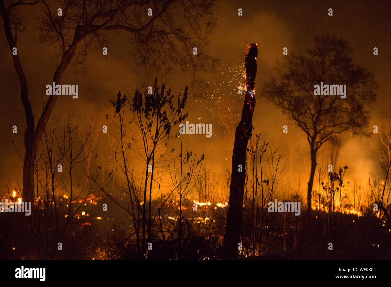 SUCRE, OP - 28.08.2019: LAND VERBRANNT DURCH BRÄNDE IN BOLIVIEN - Feld in Santa Rosa verbrannt. (Foto: Gaston Brito/Fotoarena) Stockfoto