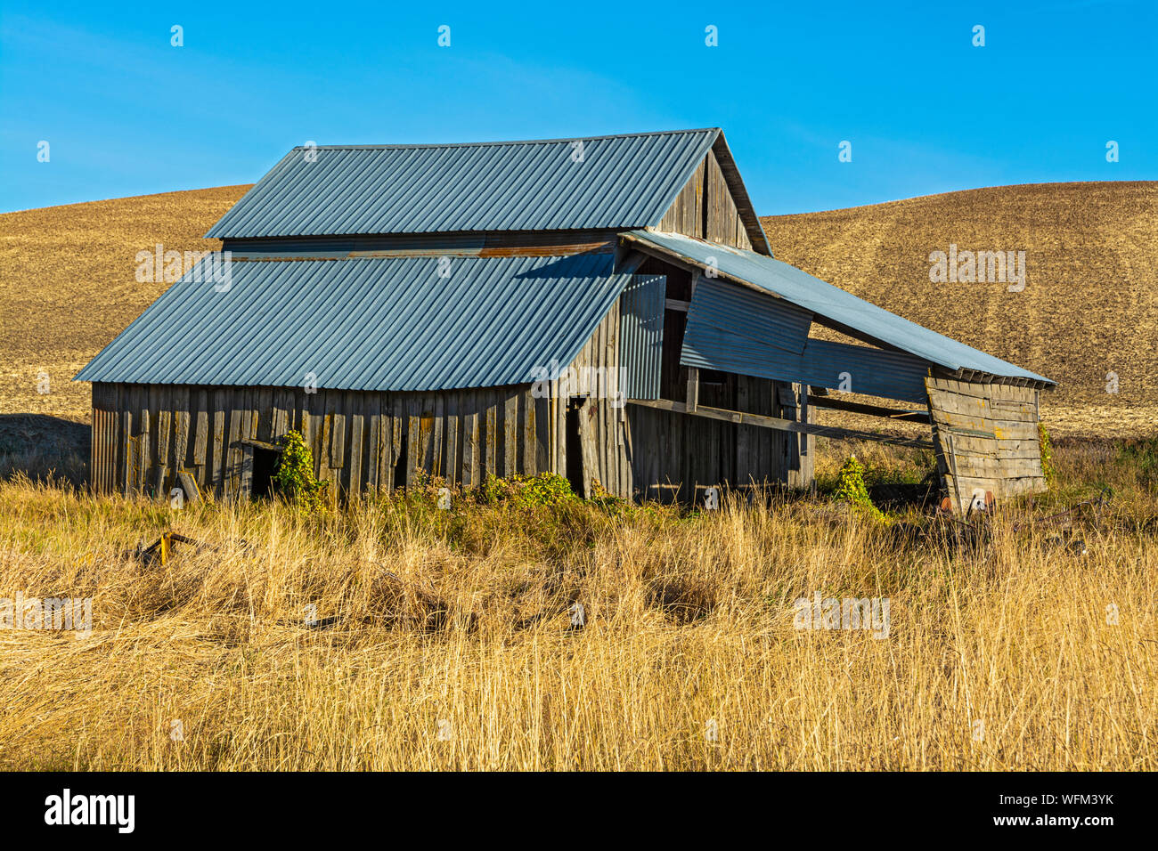 Washington, Palouse Region, Weizenfelder Herbst nach der Ernte, alte Scheune Stockfoto