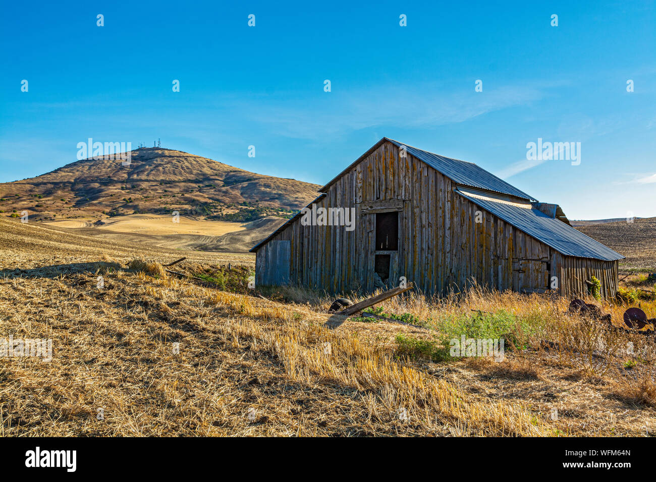Washington, Palouse Region, Weizenfelder Herbst nach der Ernte, alte Scheune, Steptoe Butte Stockfoto