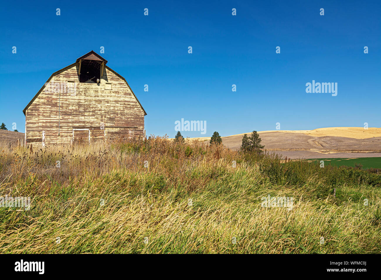 Washington, Palouse Region, Hwy 26, Holz- scheune, Herbst, Weizen Felder nach der Ernte Stockfoto