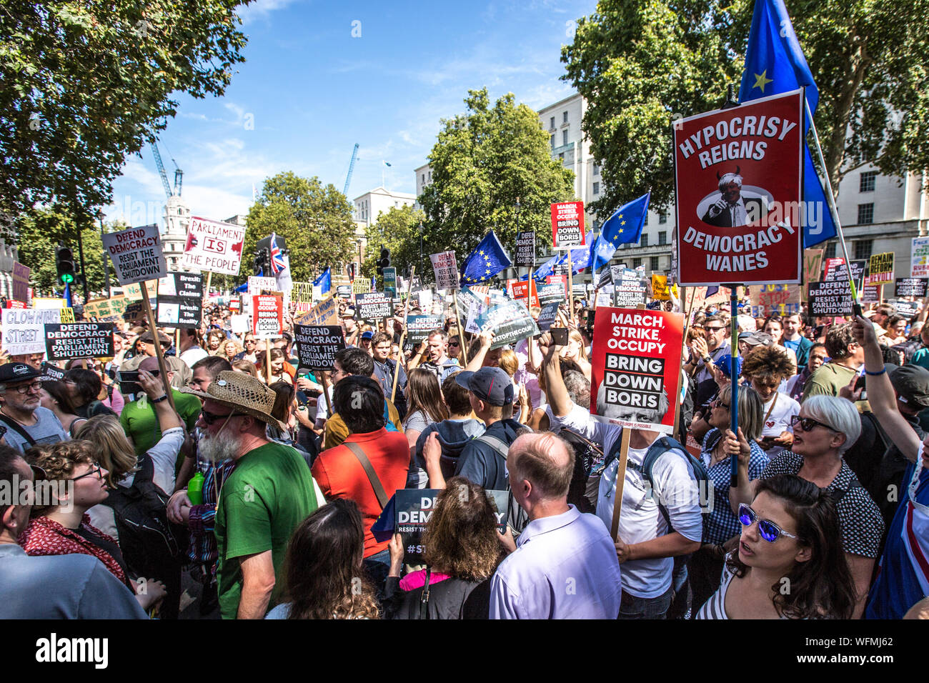 London, Großbritannien. 31. August 2019. Blockieren die Straßen von Whitehall außerhalb von Downing Street. Tausende marschierten und blockiert die Londoner Straßen in einem Protest, die Demokratie zu verteidigen und gegen die Vertagung des Parlaments. David Rowe/Alamy Leben Nachrichten. Stockfoto