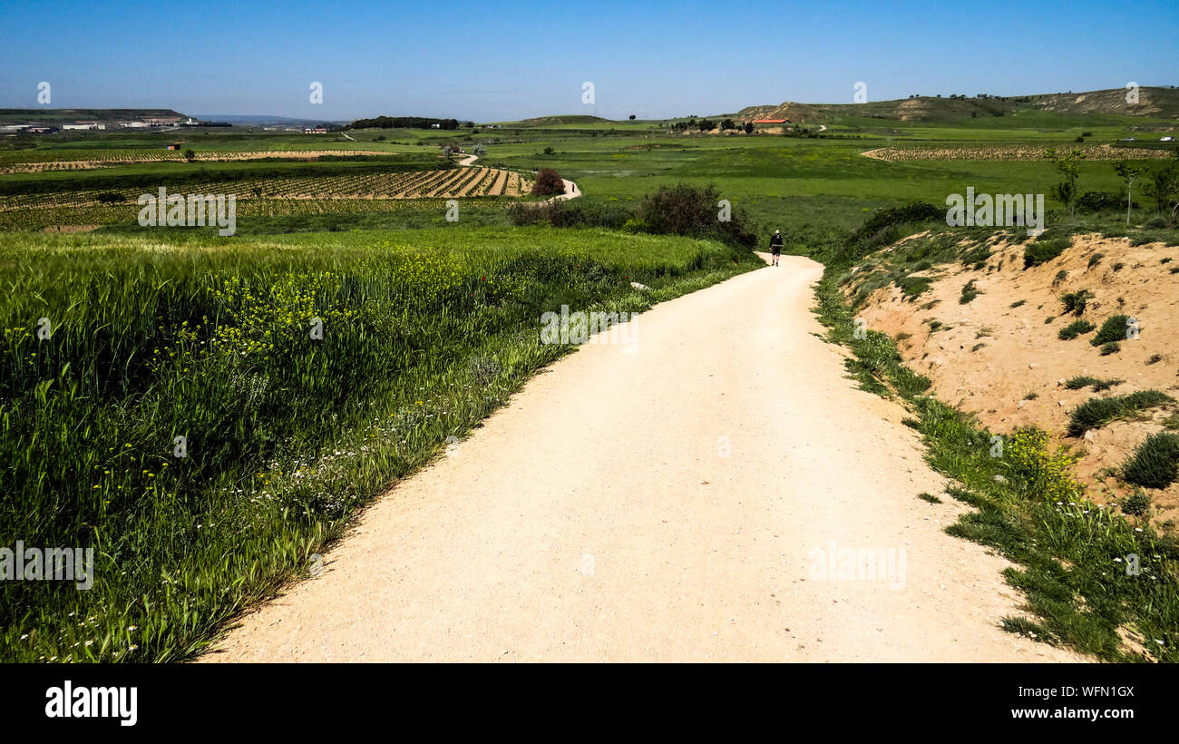 Fußweg von den landwirtschaftlichen Bereich Stockfoto