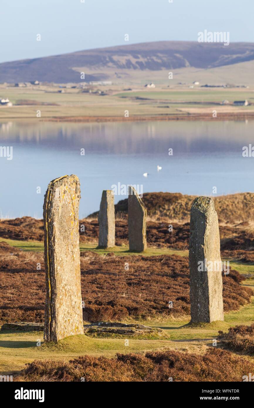 Vereinigtes Königreich, Schottland, Orkney Inseln, Festland, Ring von Brodgar, Herz der neolithischen Orkney, aufgeführt von der UNESCO zum Weltkulturerbe Stockfoto