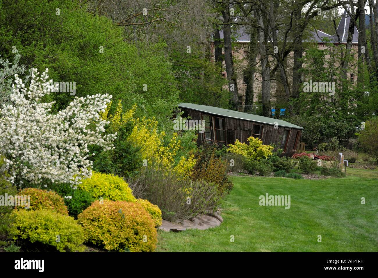 Frankreich, Bas Rhin, Thanville, Lilavéeronica Garten im Frühling, mit Blick auf den Garten und das Schloss vom 16. Jahrhundert und wurde im 17. Jahrhundert Stockfoto