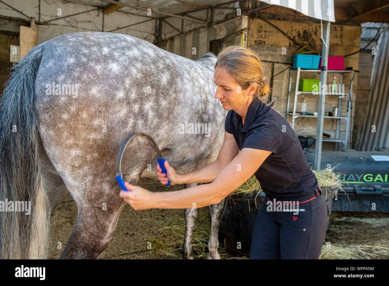 Frankreich, Oise, Chantilly, Schloss Chantilly, die Große Ställe, Reiterin ihr Pferd trocknen nach dem Training Stockfoto