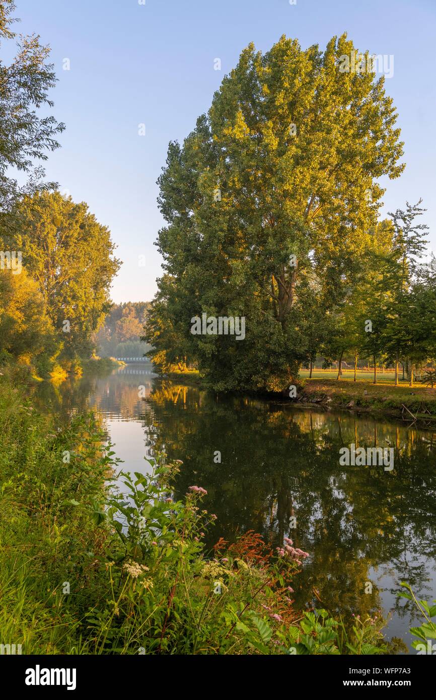 Frankreich, Somme, Tal der Somme, Lange, die Ufer der Somme am frühen Morgen, am Fluss entlang Stockfoto