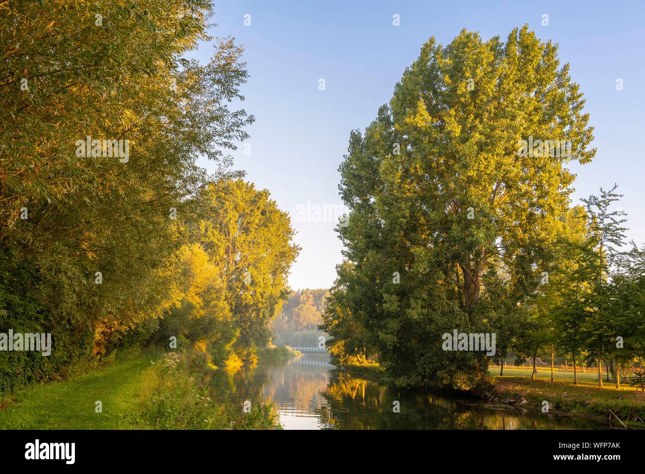 Frankreich, Somme, Tal der Somme, Lange, die Ufer der Somme am frühen Morgen, am Fluss entlang Stockfoto