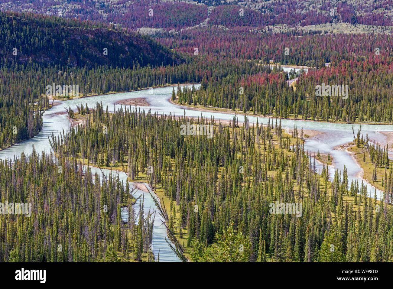 Kanada, Alberta, Kanadischen Rocky Mountains aufgeführt als UNESCO-Weltkulturerbe, Jasper National Park, der Athabasca River in der Nähe der Stadt Jasper Stockfoto