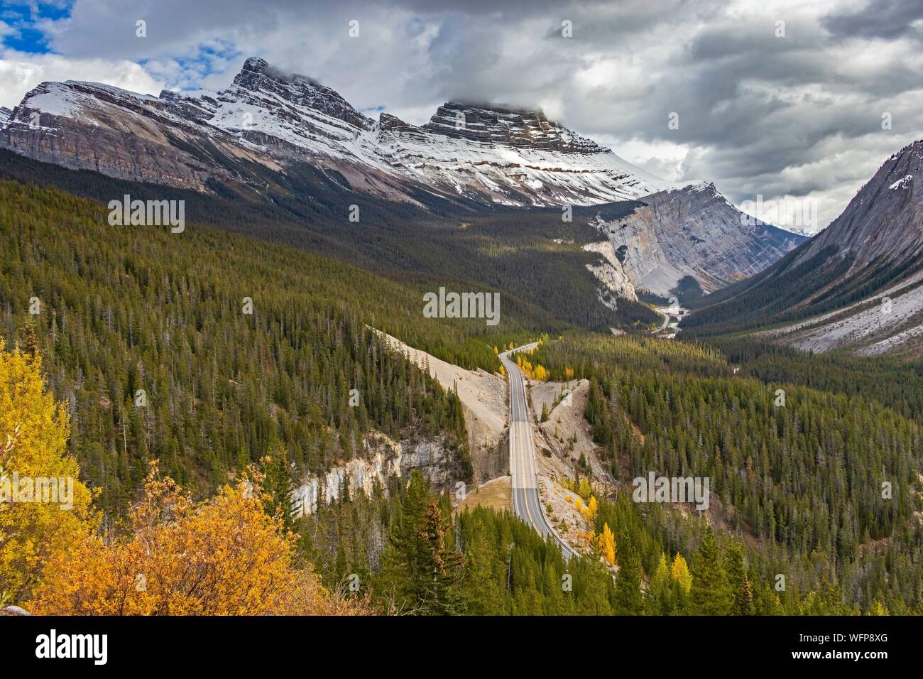 Kanada, Alberta, Kanadischen Rocky Mountains als UNESCO-Weltkulturerbe, Banff National Park, Icefields Parkway in der Nähe von Parker Ridge Stockfoto