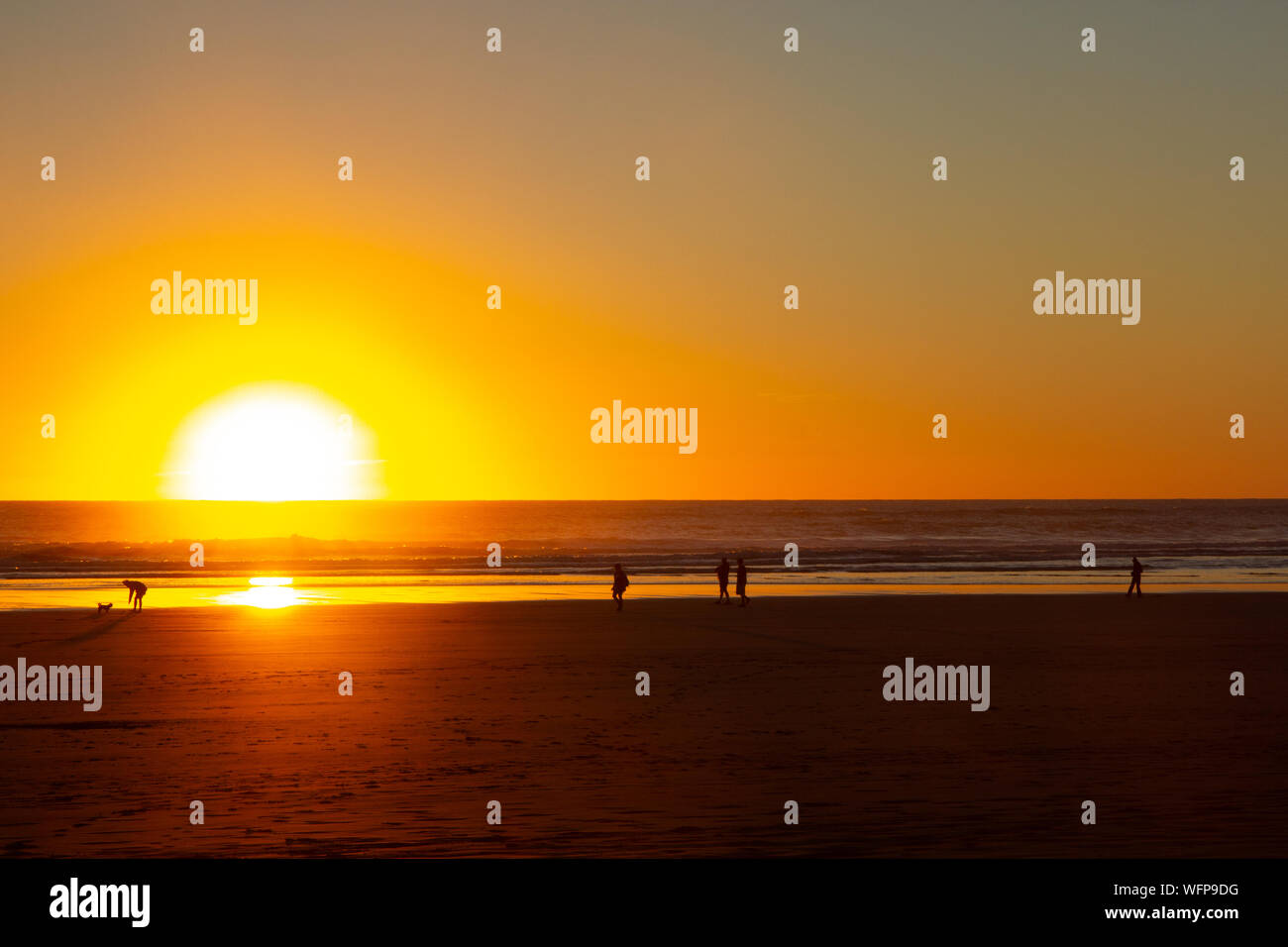 Sonnenuntergang an der Piha Beach, North Island, Neuseeland Stockfoto