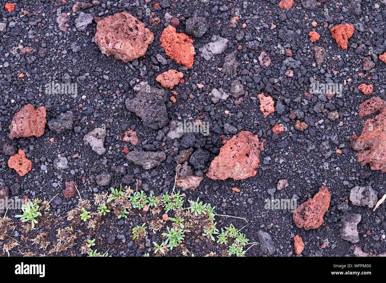 Italien, Sizilien, Ätna Regionaler Naturpark, den Ätna, als Weltkulturerbe von der UNESCO, Vulkangestein Stockfoto