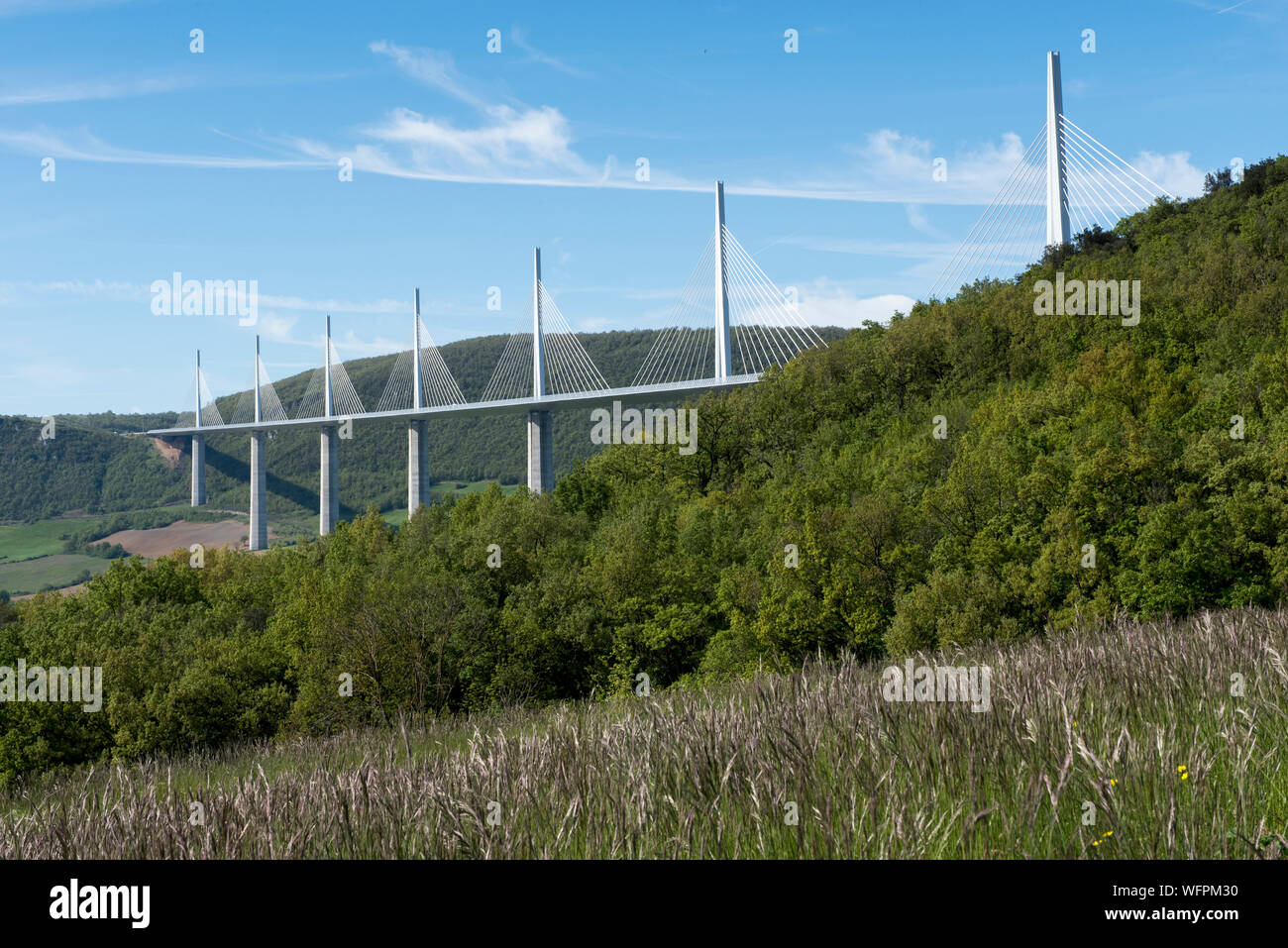 Frankreich, Aveyron, Millau Viadukt von Millau, Regionalen Naturpark der Grands Causses, Schrägseilbrücke über den Tarn das Tal und den Fluss Tarn, durch strukturelle Ingenieur Michel Virlogeux und der britische Architekt Lord Norman Foster, dem höchsten Brücke der Welt mit 336,4 m Stockfoto