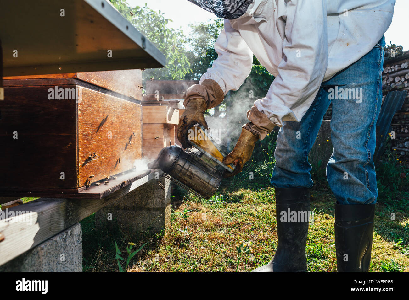 Mann mit Biene Raucher auf Hive Stockfoto