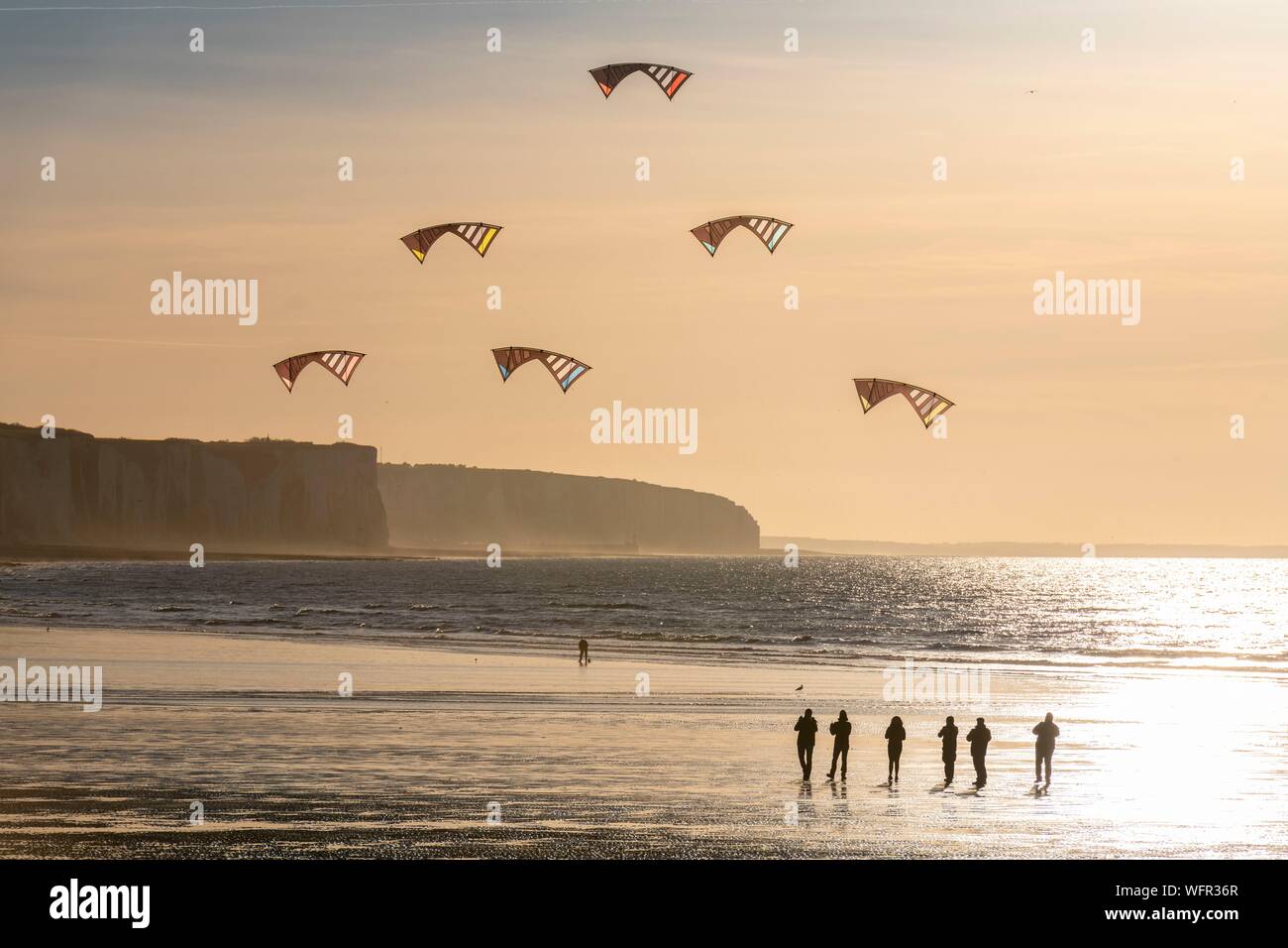 Frankreich, Somme, Ault, Team von cervicists Züge, synchronisiert Drachensteigen am Strand von Ault in der Nähe der Klippen bei Sonnenuntergang Stockfoto