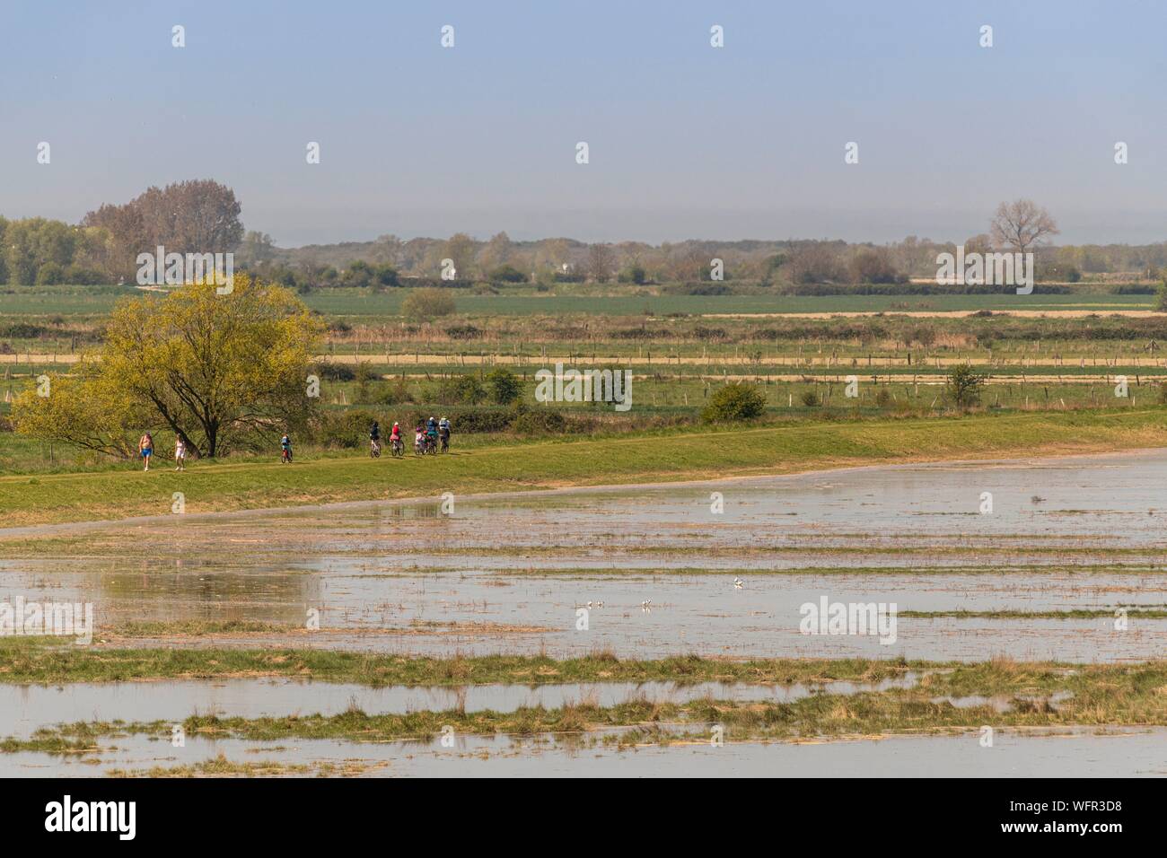 Frankreich, Somme, Baie de Somme, Saint Valery sur Somme, Kap Hornu, Flut, das Meer dringt die Wiesen und schwimmenden Hütten Jagd zurück, die Vögel (Reiher, Löffler,...) kommen die Fische, die in den Teichen gefangen sind, während die Wanderer profitieren von dem Spektakel Stockfoto