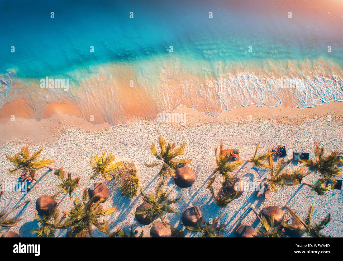 Luftaufnahme von Sonnenschirmen, Palmen auf dem Sandstrand des Ozeans Stockfoto