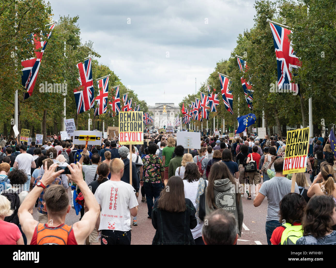 31.Aug 2019 - London, UK. Eine Anti-Brexit Demonstranten mit Plakaten und Bannern bis zum Buckingham Palace marschieren. Stockfoto