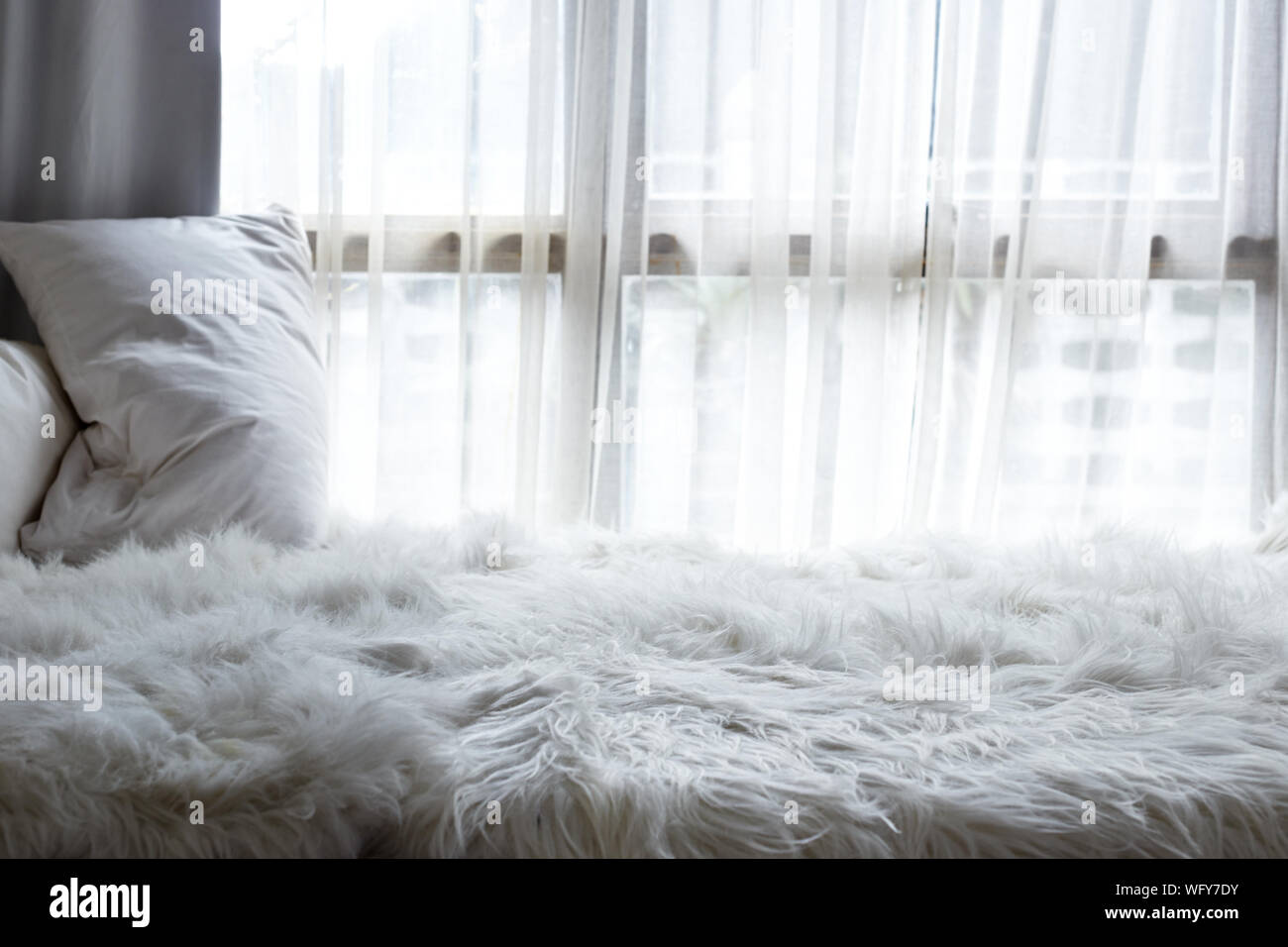 Furry Bett gegen Fenster Stockfoto