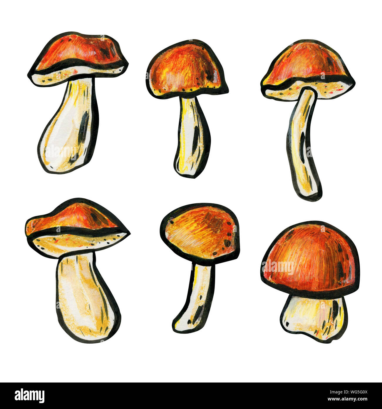 Satz von sechs Pilze. Herbst Konzept. Steinpilze, Steinpilze und Kappe Steinpilze hautnah. Pilze mit rot-braunen Hüte und weiße Beine. Von der Seite. Stockfoto
