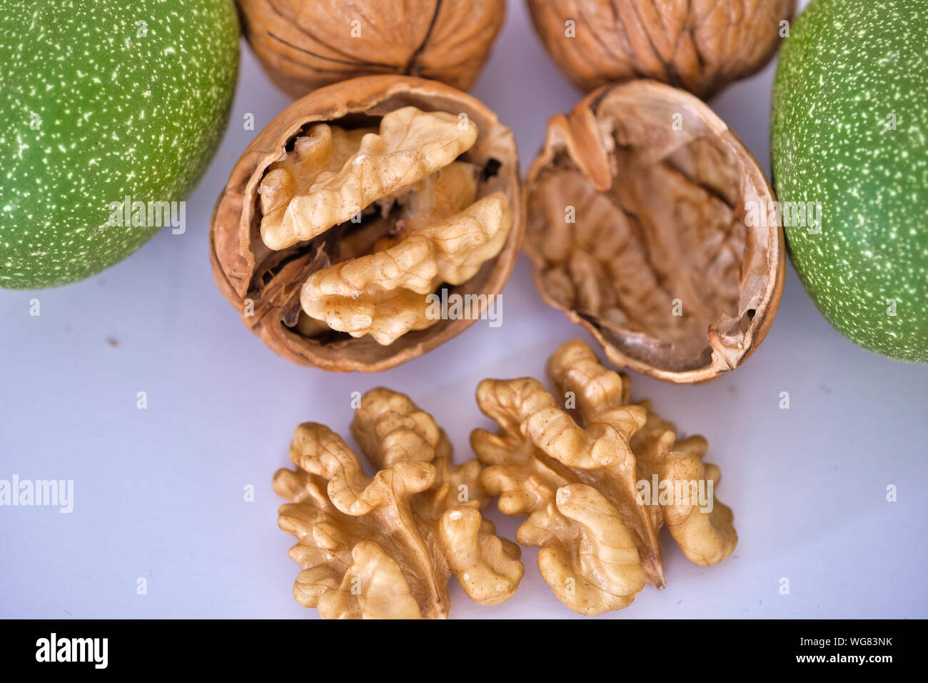 Walnüsse, isoliert auf weißem Hintergrund. Stockfoto
