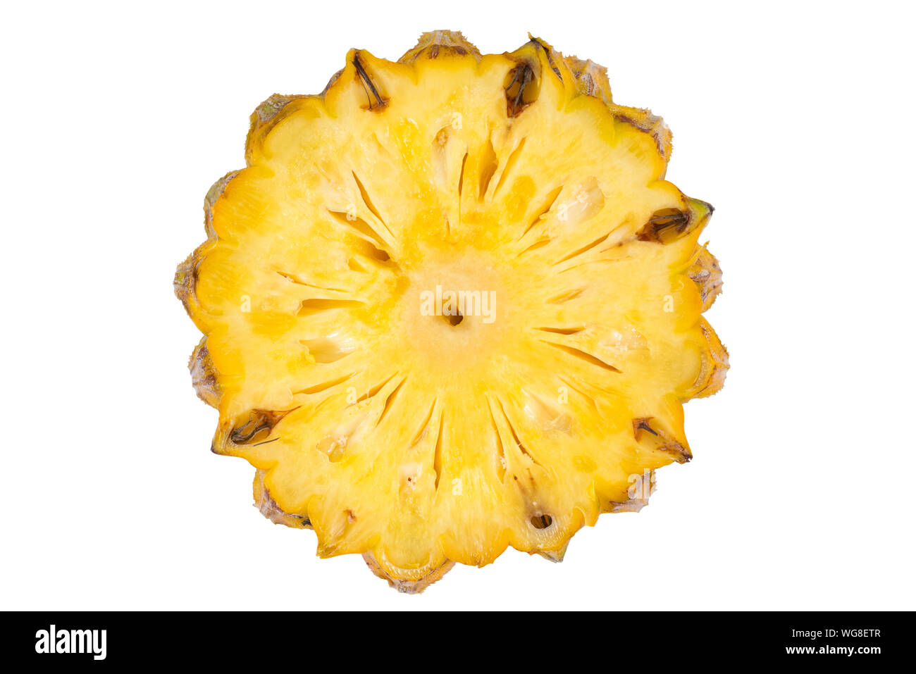 Nahaufnahme der Frische Ananasscheibe vor weißem Hintergrund Stockfoto