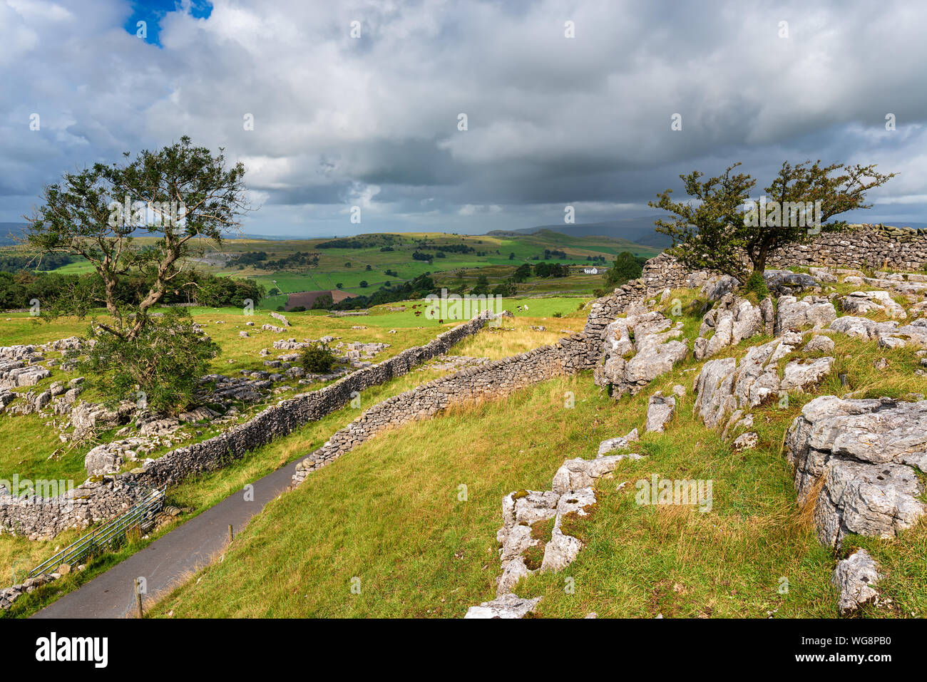 Sommer in den Yorkshire Dales am WInskill Steine in der Nähe von Settle Stockfoto