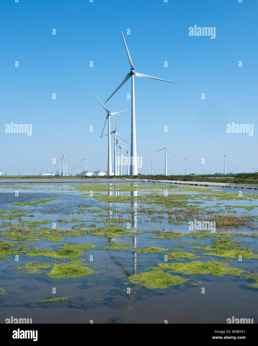 Windenergieanlagen und blauer Himmel im Norden der niederländischen Provinz Groningen in der Nähe von eemshaven Stockfoto