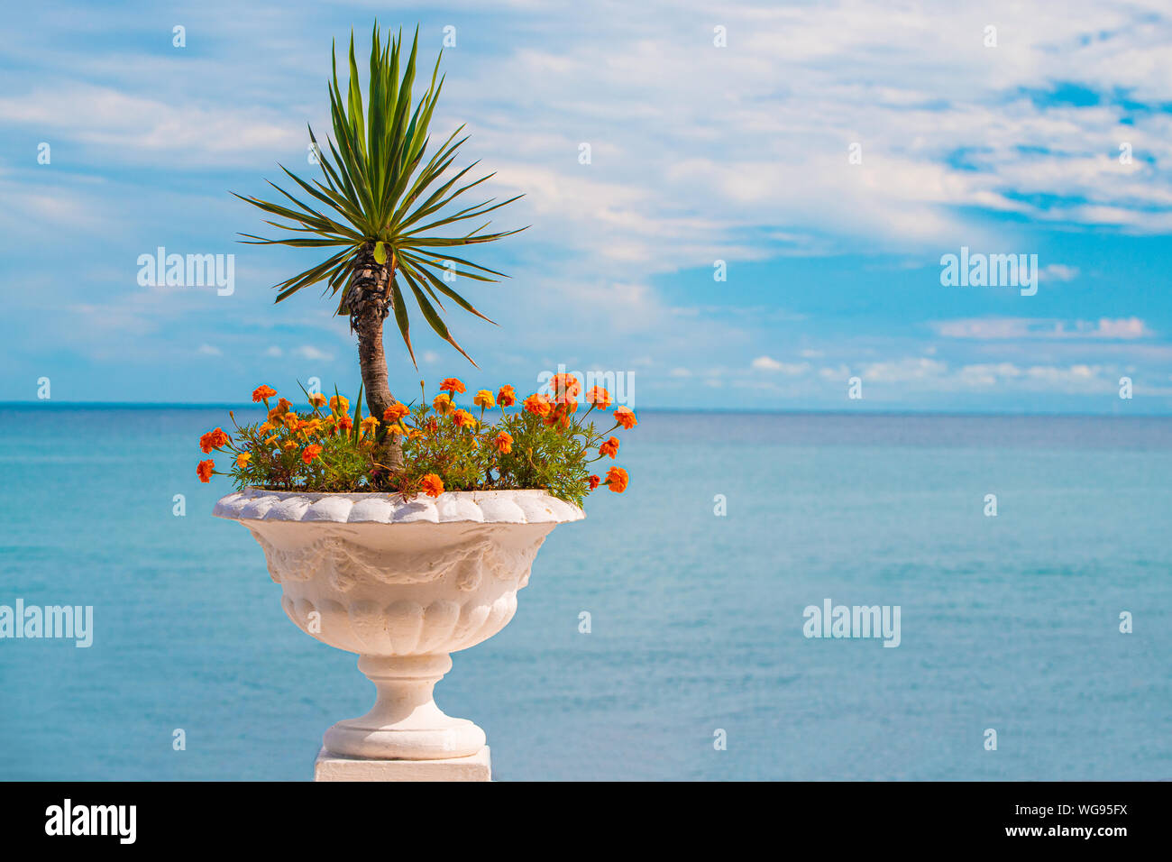 White Flower Pot mit Blumen und dekorative Palm auf dem Hintergrund der azurblauen Meer Stockfoto