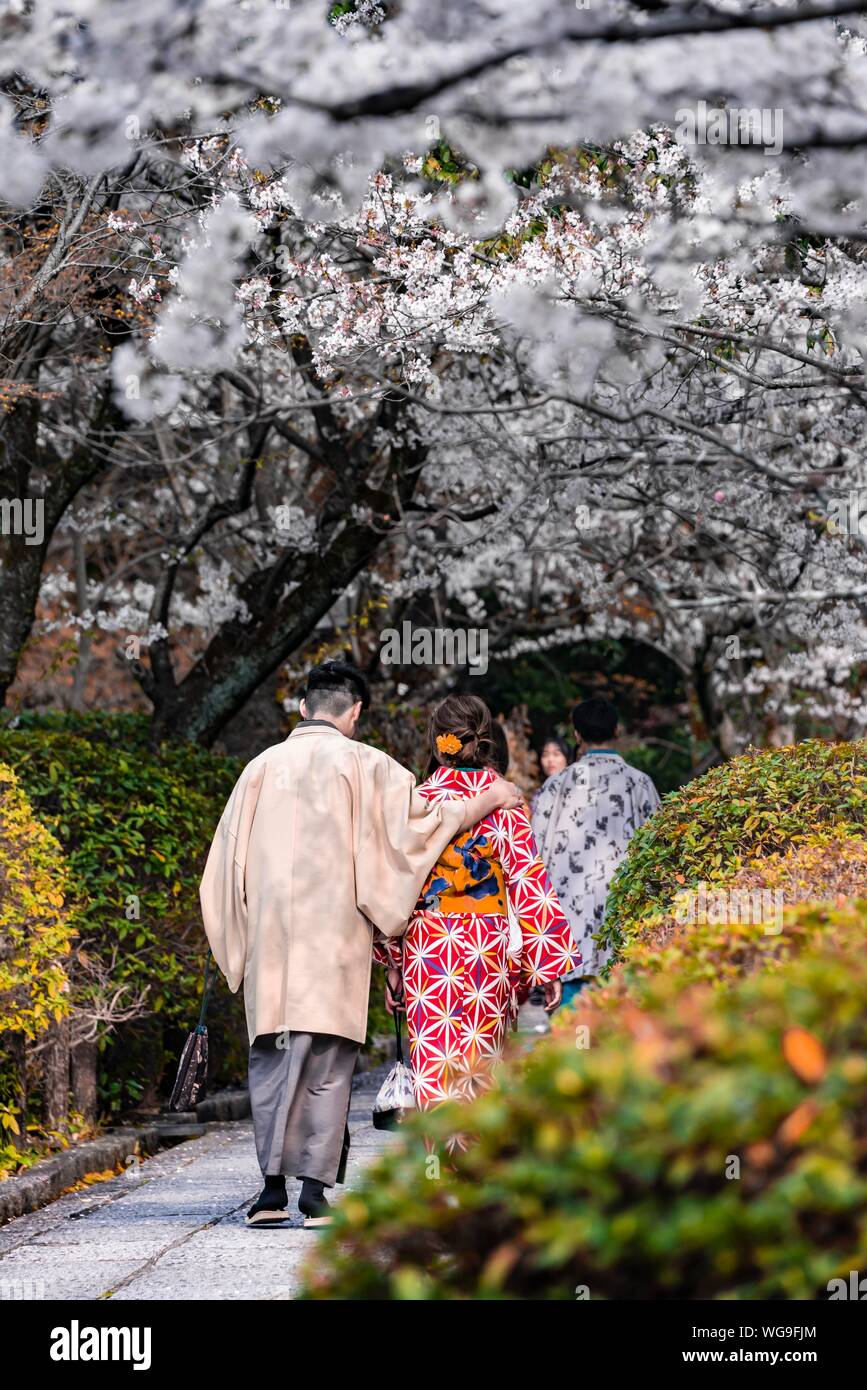 Japanisches Paar mit Kimono in einem Park während der Kirschblüte, Jahreszeit, bunte traditionelle Kleidung, Kyoto, Kyoto, Japan Stockfoto