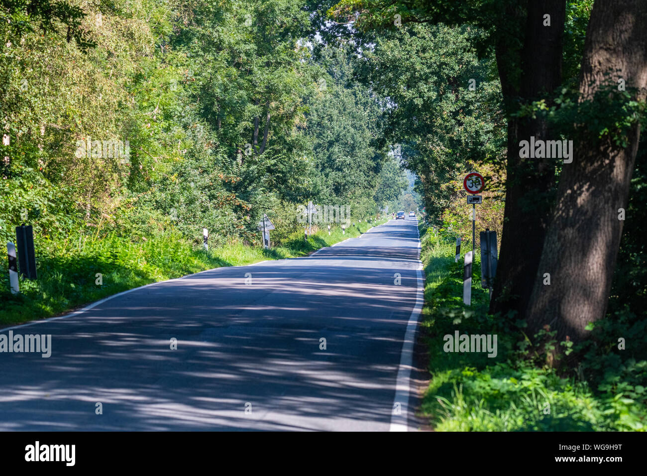 Hude, Deutschland, 30. August 2019: Auf einer Landstraße, ein Rennrad Fahrer von Autos überholt Stockfoto