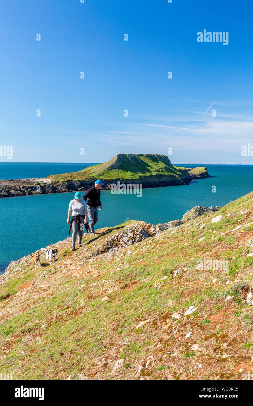 Hund Spaziergänger am Ende der Halbinsel Gower mit Würmern Kopf über South Wales, Großbritannien Stockfoto